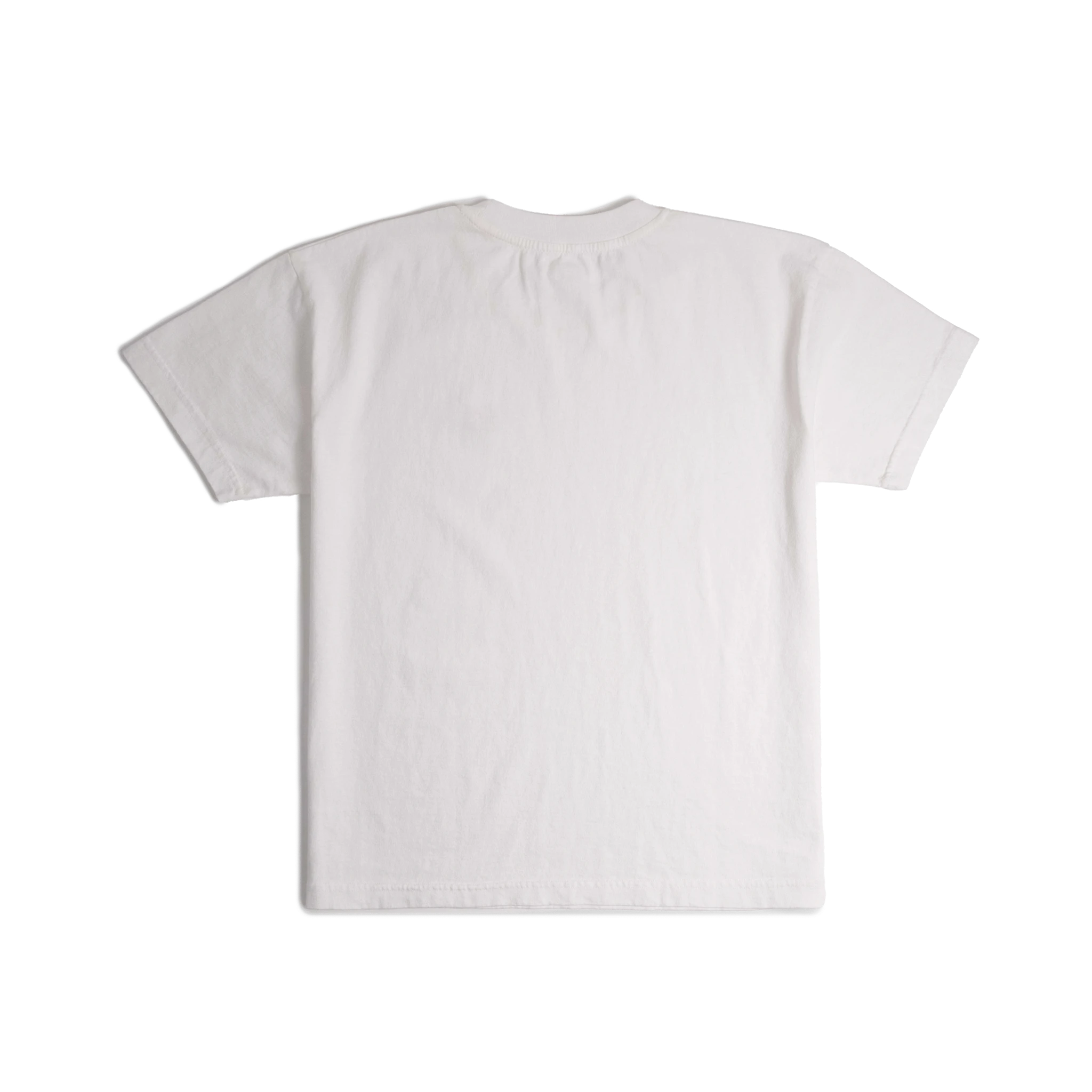 Back image of Topo Designs x Soft Goods Label Tee in "White"
