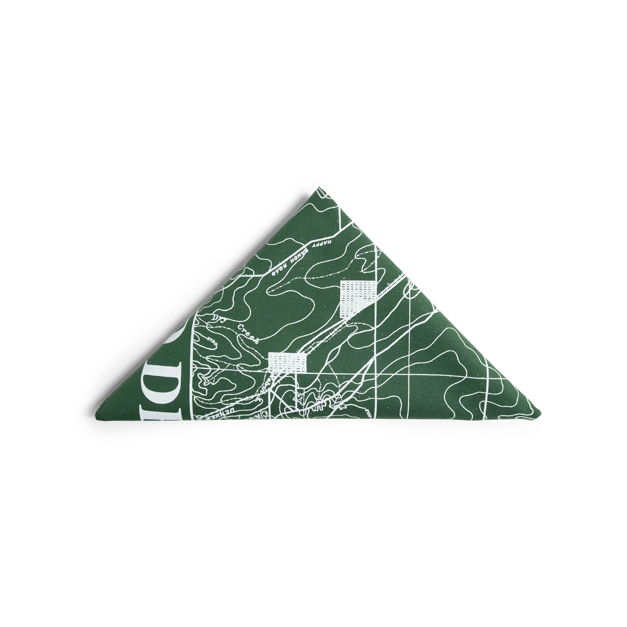 Topo Designs x Pine Printshop Bandana in "Denver Forest" folded